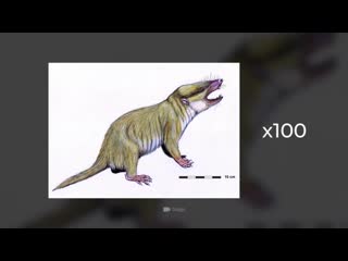 what happened 1 minute after the extinction of the dinosaurs?